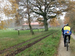 Wilseder Berg 1 2010 014